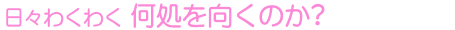 日々わくわく 何処を向くのか?