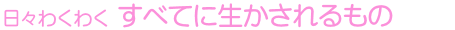 日々わくわく すべてに生かされるもの