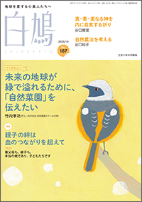 白鳩