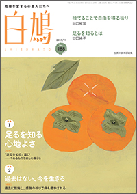 白鳩 表紙