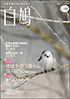  白鳩 No.142　表紙