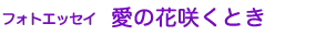 フォトエッセイ 愛の花咲くとき