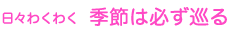 日々わくわく　季節は必ず巡る