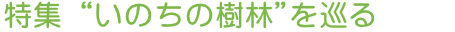 特集 “いのちの樹林”を巡る