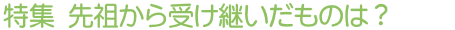特集 先祖から受け継いだものは?