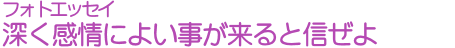 フォトエッセイ　深く感情によい事が来ると信ぜよ