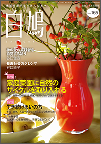 白鳩 表紙