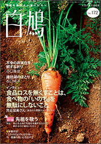 白鳩 表紙