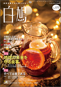 白鳩 表紙
