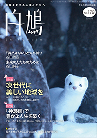 白鳩