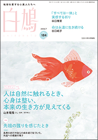 白鳩 No.184　表紙