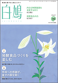白鳩