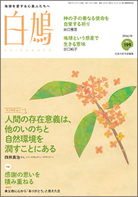白鳩