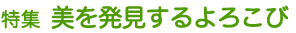 特集 美を発見するよろこび