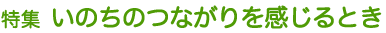 特集 いのちのつながりを感じるとき