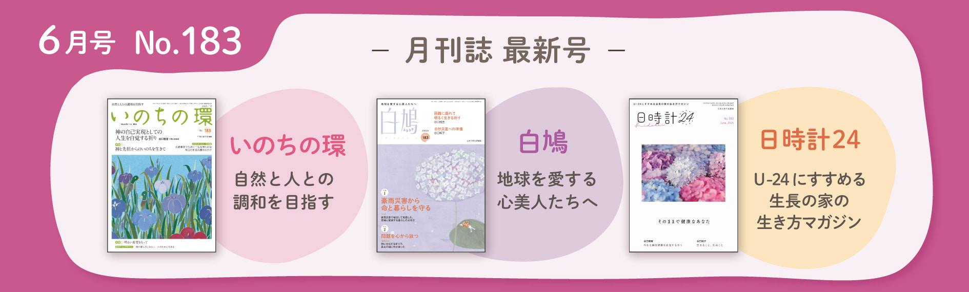 逆輸入 世界聖典普及協会 その他