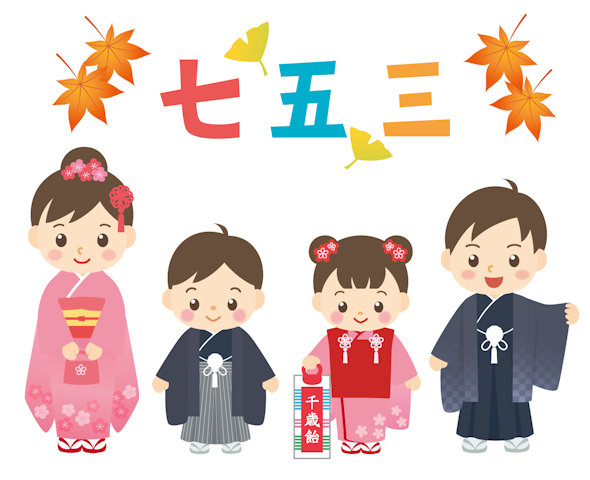 コスモス
