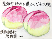 生命力溢れる夏のくだもの桃